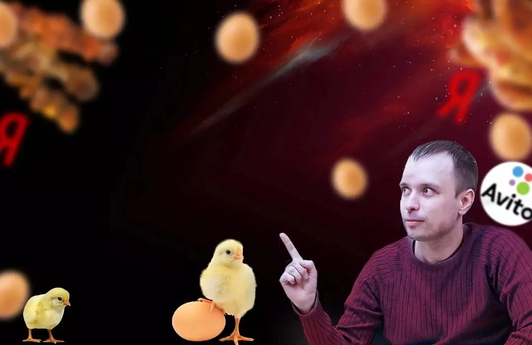 Превью кейса по раскрутке птицефабрики Белоярочка